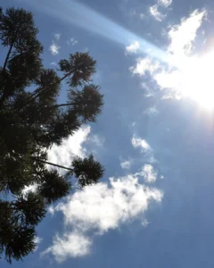 Simepar prevê céu claro e temperatura atingindo 23°C nesta semana