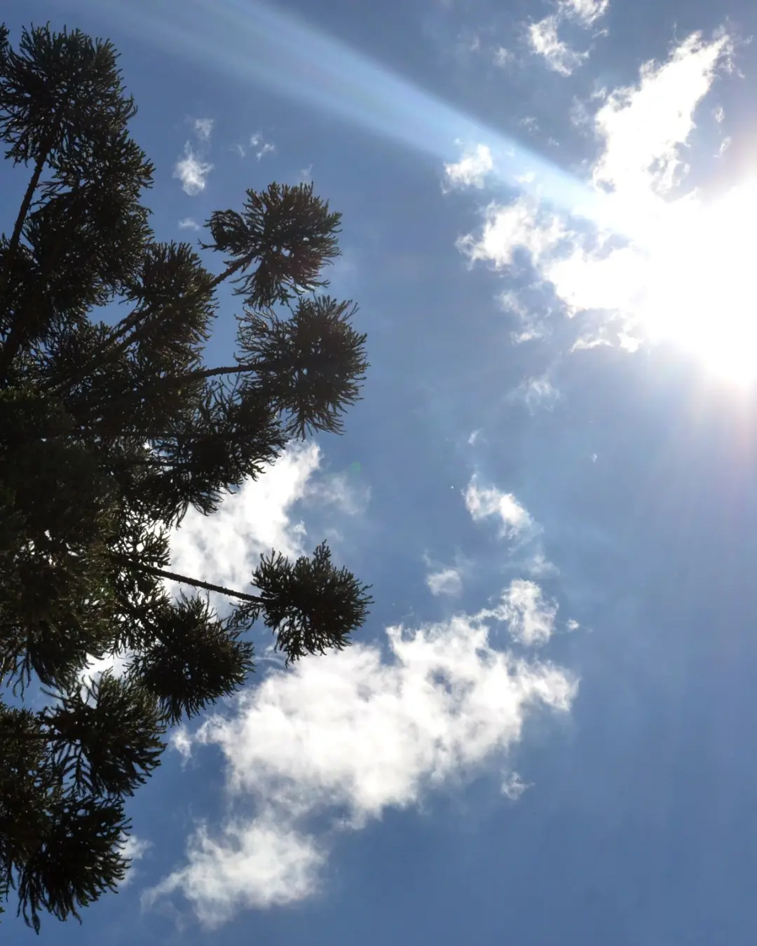 Simepar prevê céu claro e temperatura atingindo 23°C nesta semana