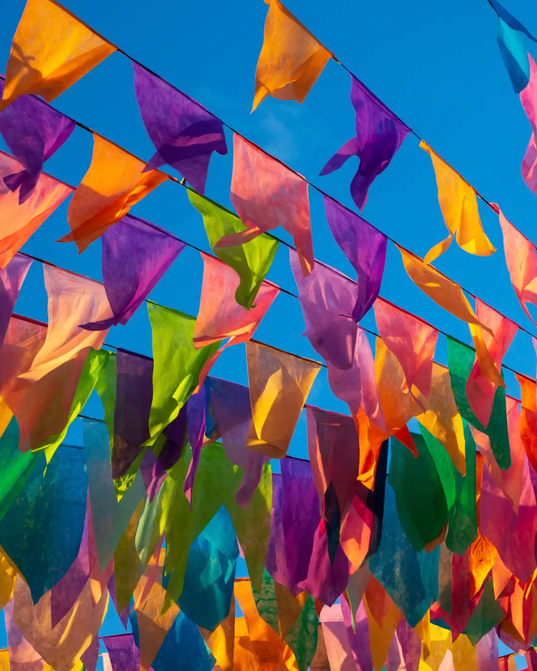 Vem aí a Festa Junina da associação de moradores do Jardim São Francisco