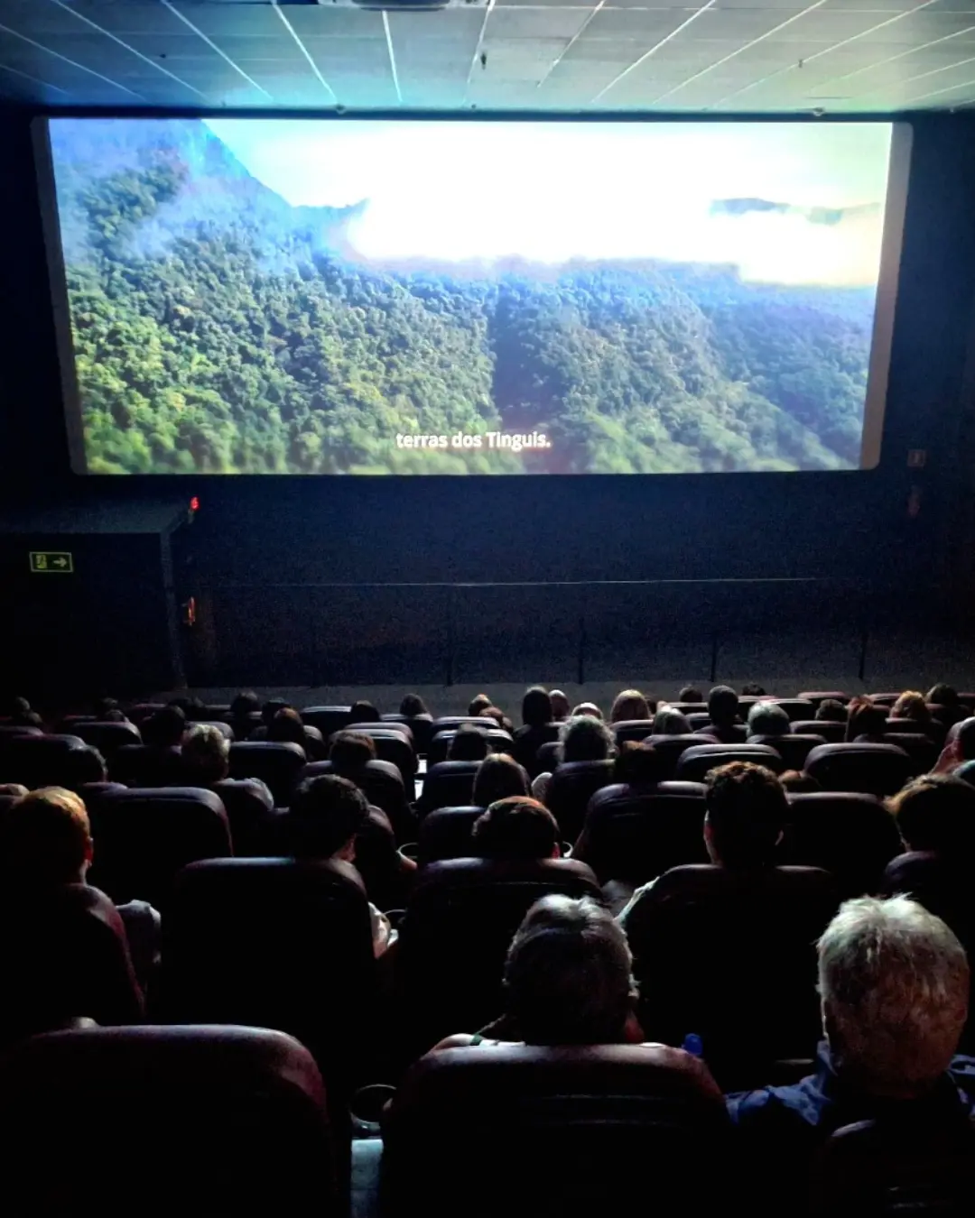 Automobilistas vão se reunir em um encontro para assistir ao filme da Fórmula 1 no SoffCine