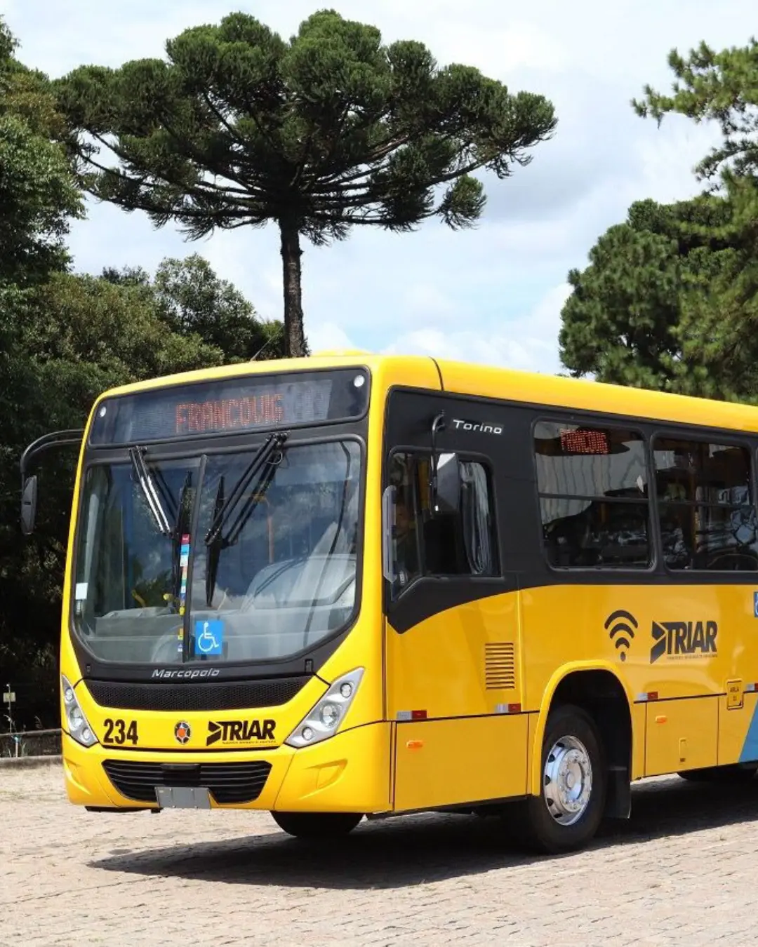 NP: Comissão de Inquérito do transporte coletivo começa fase de oitivas