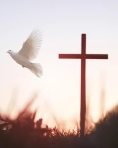 Padre André Marmilicz: Enviados a anunciar a Paz