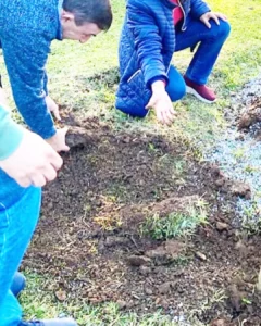 Pastoral da Ecologia Integral convida comunidades a participarem dos encontros