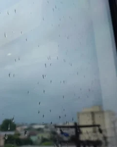 Previsão do tempo marca chuva para este domingo (27)