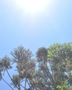 Agosto inicia com céu claro e temperatura chegando a 25°C