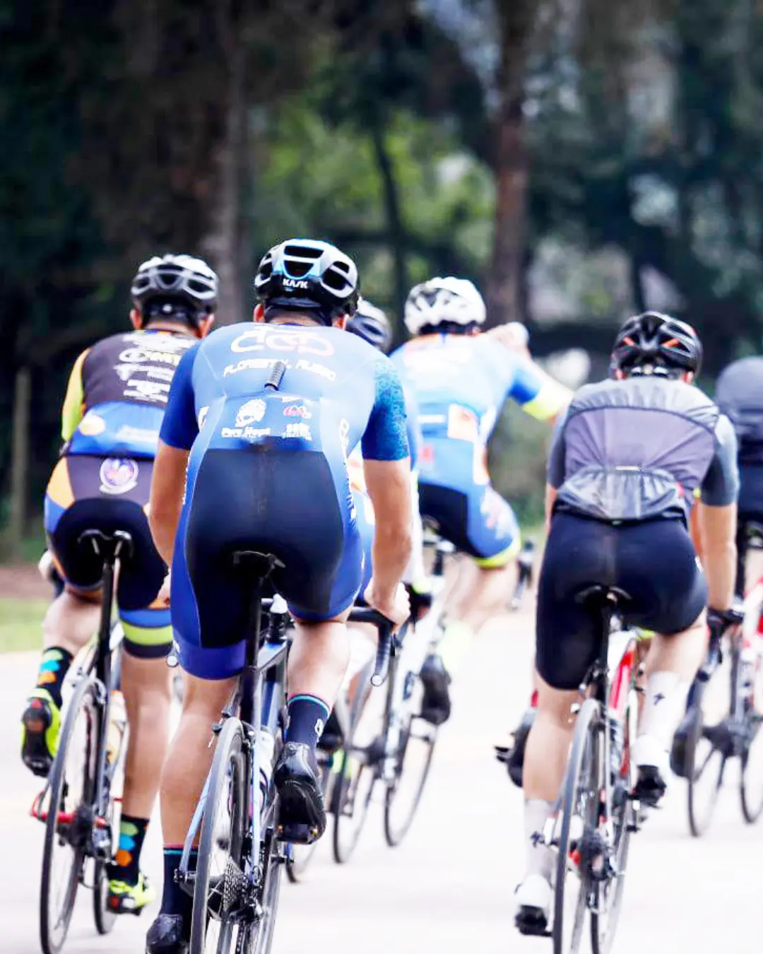 Dia Nacional do Ciclista: ‘Bikes’ vão invadir Araucária em 24 de agosto