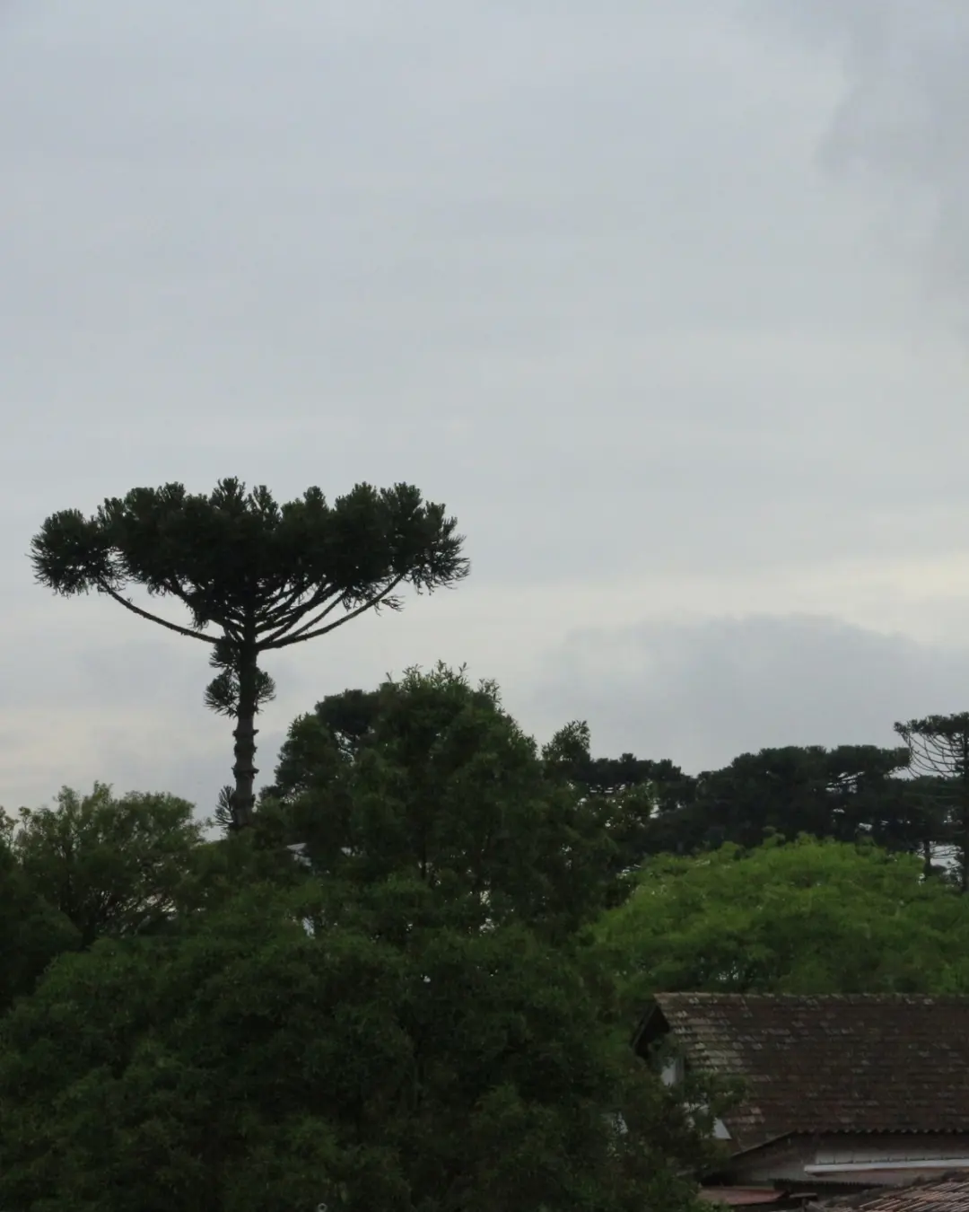 Simepar prevê queda na temperatura durante a semana