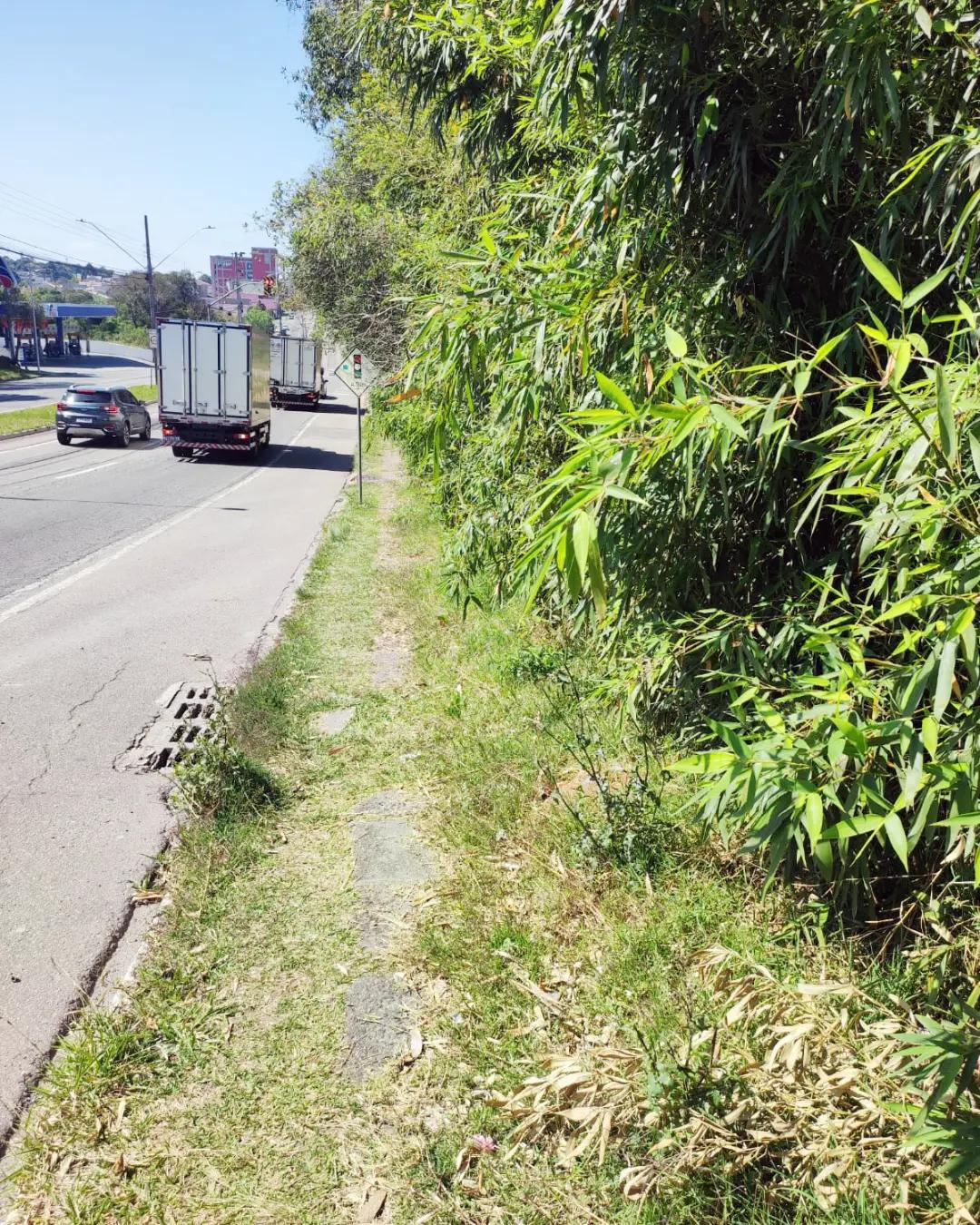 Morador pode solicitar serviços de roçada quando se deparar com mato nas calçadas