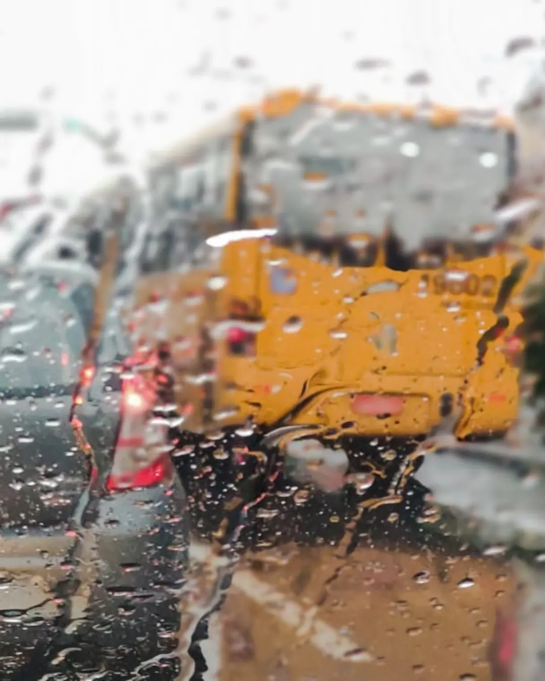 Previsão do tempo marca chuva para esta terça (16)