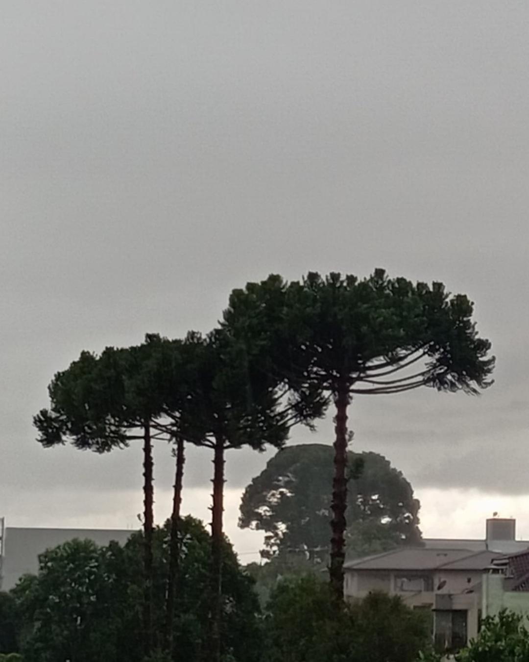 Primeira semana de outubro será marcada com bastante chuva