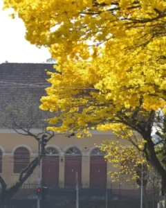Temperatura não ultrapassará a máxima de 20°C no final de semana