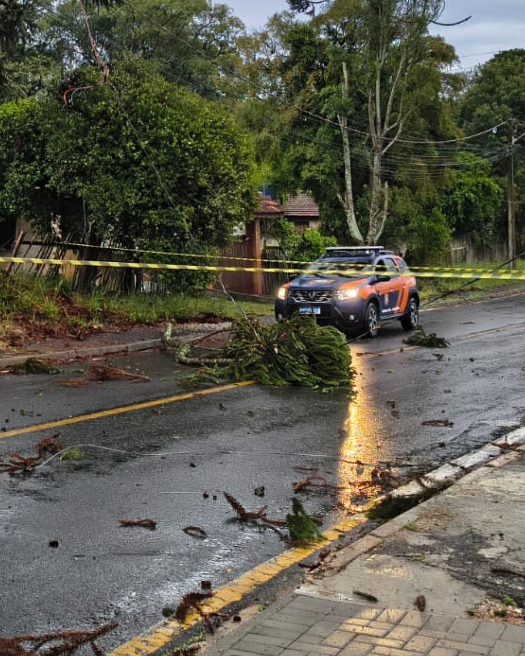 Tempestade na madrugada derrubou árvores e destelhou casas em Araucária