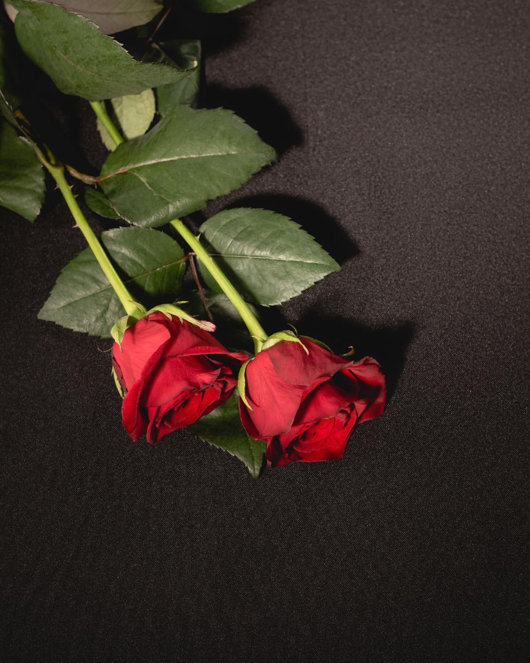 Cartório de Registro Civil divulga obituário dos últimos dias