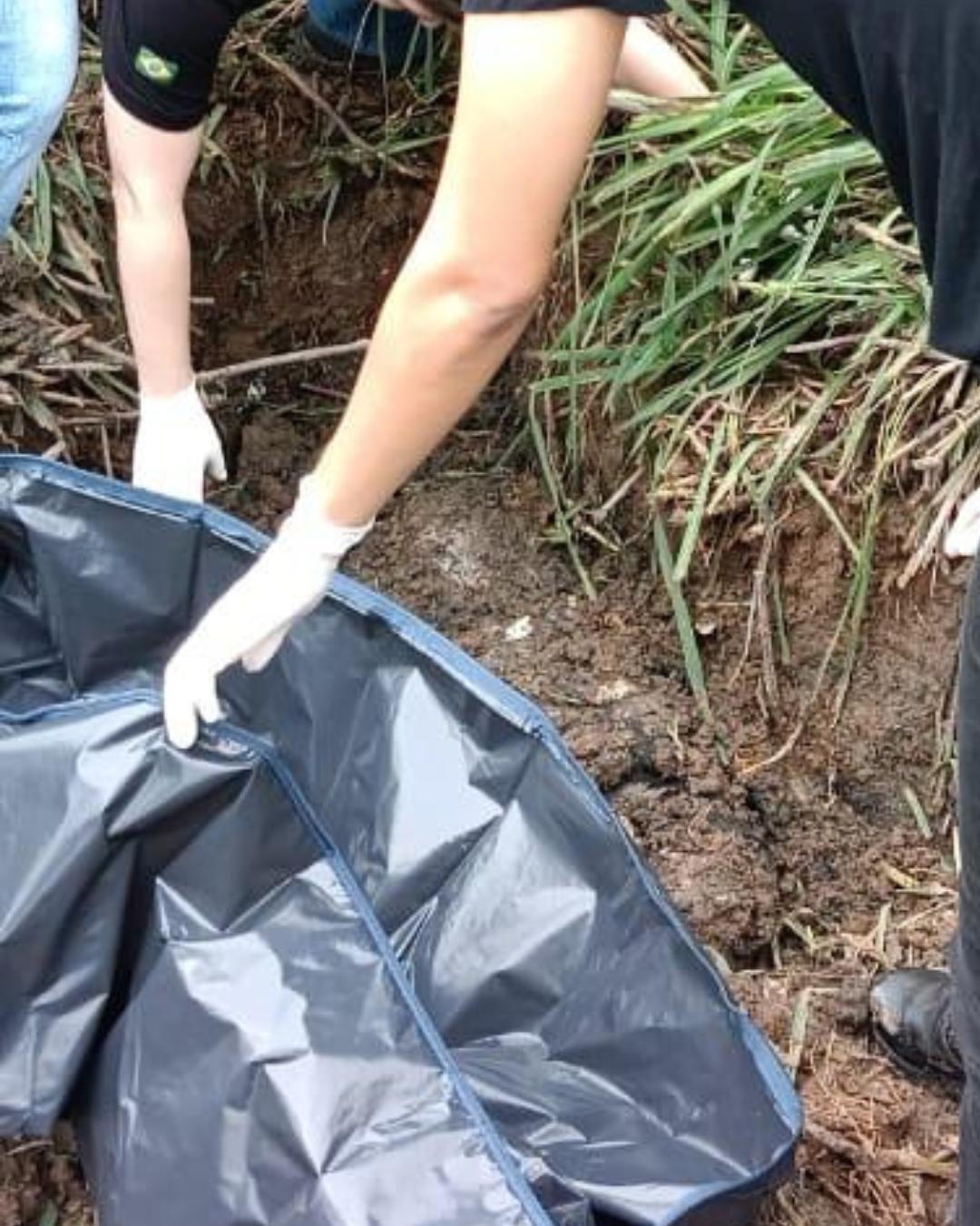 Delegacia da Mulher localiza corpo de cachorro morto por homem que também ameaçou a esposa