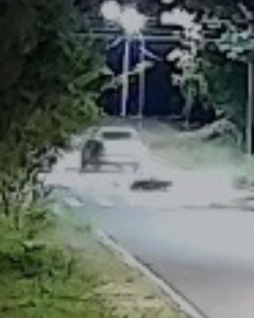 Família de vítima pede ajuda para encontrar motorista que causou acidente no Porto das Laranjeiras
