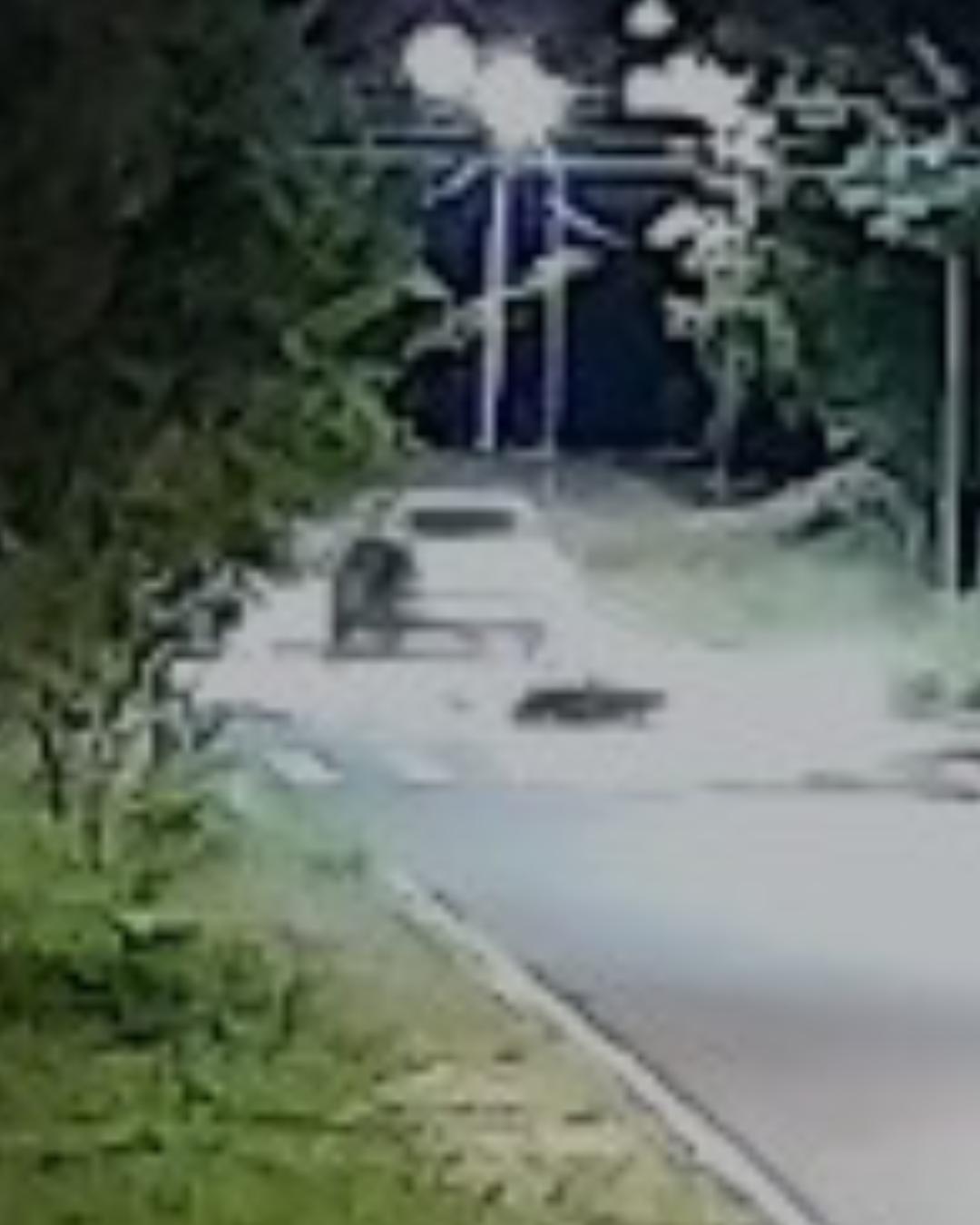 Motorista que bateu em motoqueiro no Porto das Laranjeiras se apresenta à Polícia