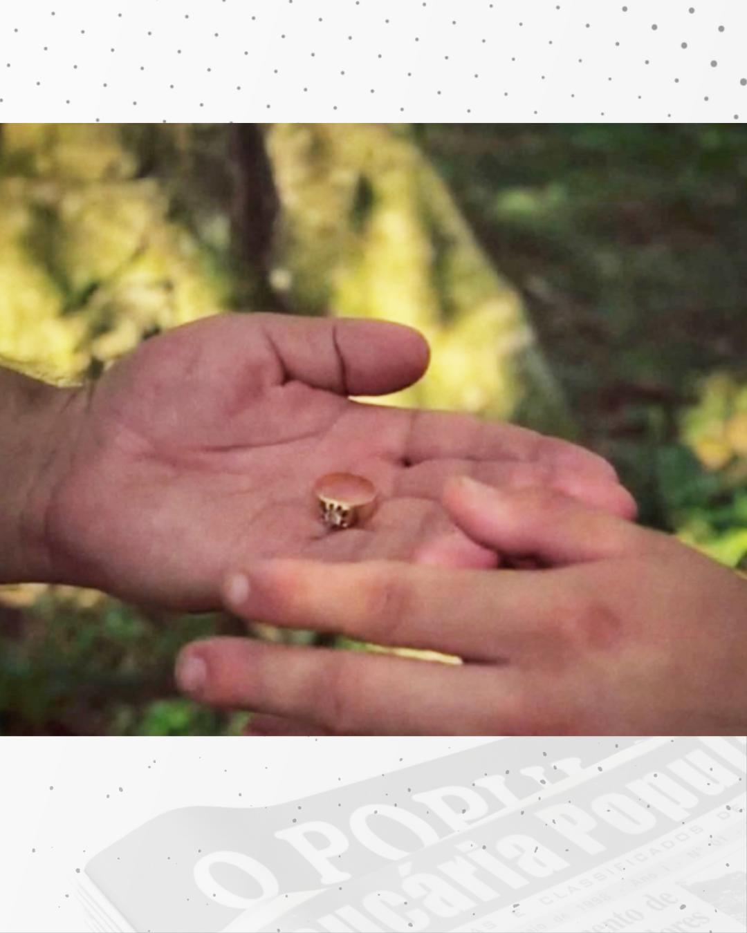 Araucária estará no 1º Festival de Cinema Curucaca com dois trabalhos audiovisuais