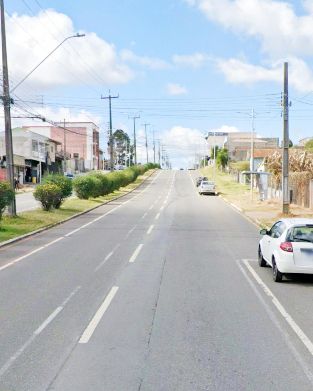 Árvores no canteiro central da Manoel Ribas são alvo de críticas