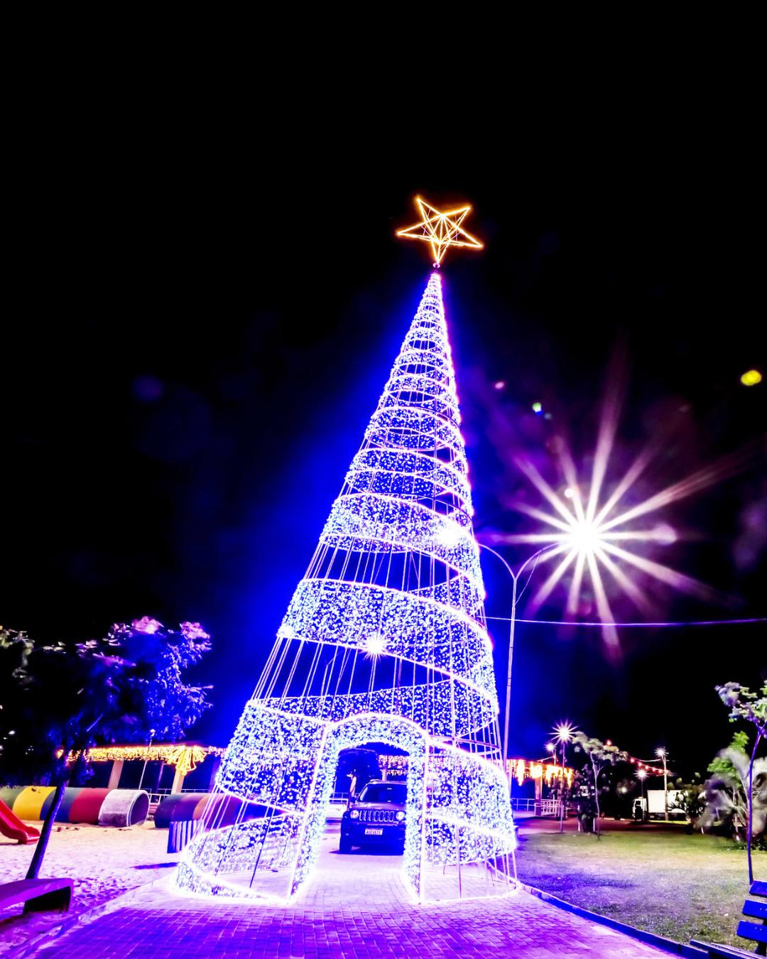 Decoração de Natal da cidade terá árvore gigante no lago do Parque Cachoeira
