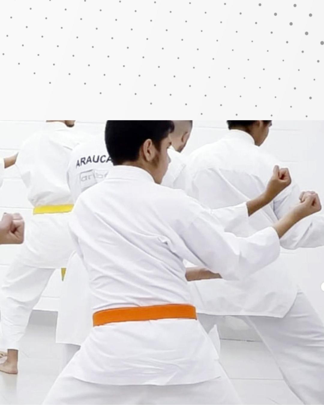 Ginásio Joval de Paula Souza recebe o Festival de Karatê no sábado (29)