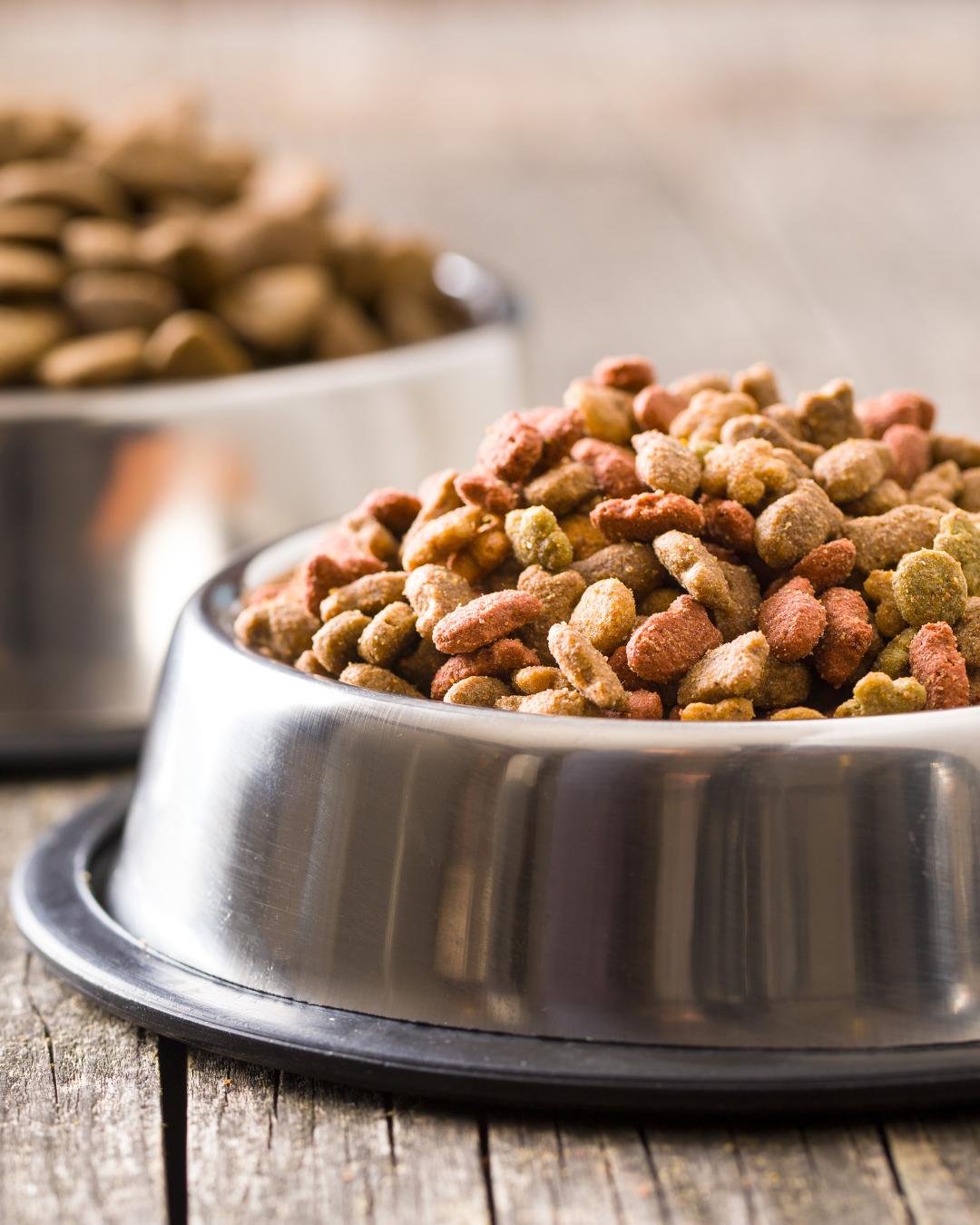 NP: Meio Ambiente distribui duas toneladas de ração para 31 protetoras de animais