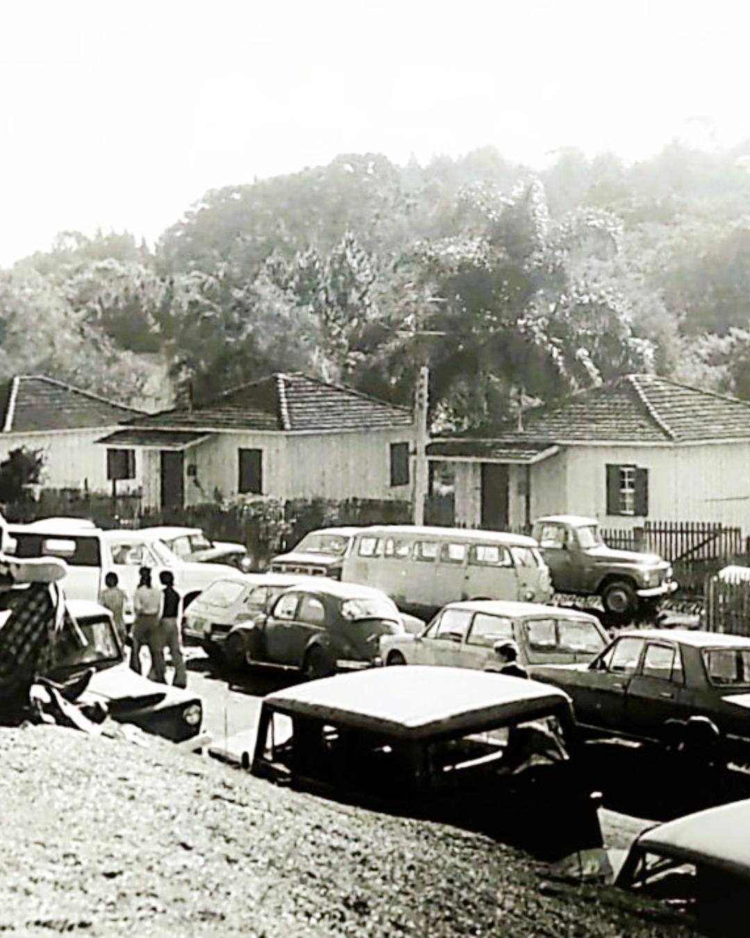 Terezinha Poly: 1977 — a 1ª Festa da Batata de Guajuvira