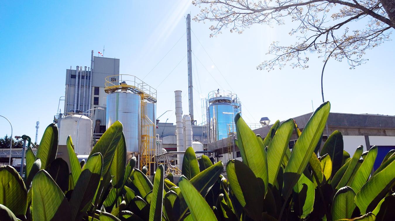 Avançar ainda mais em aplicações biotecnológicas é a principal meta da Novonesis para 2026