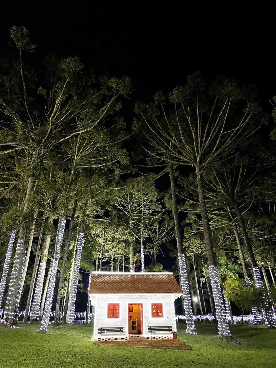 Casinha do Papai Noel começa a receber visitantes na sexta-feira (05)