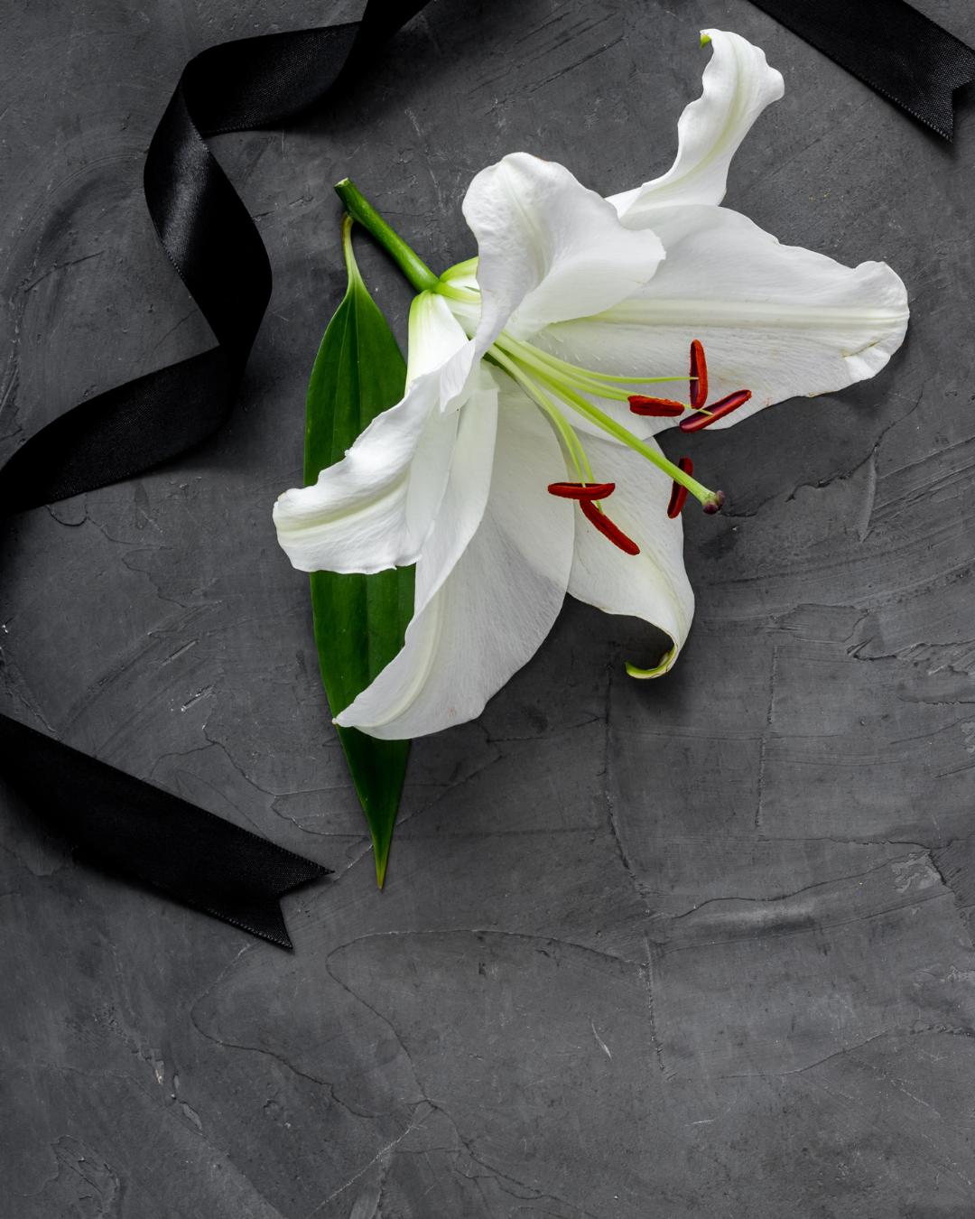 Confira a relação de óbitos das últimas semanas em Araucária