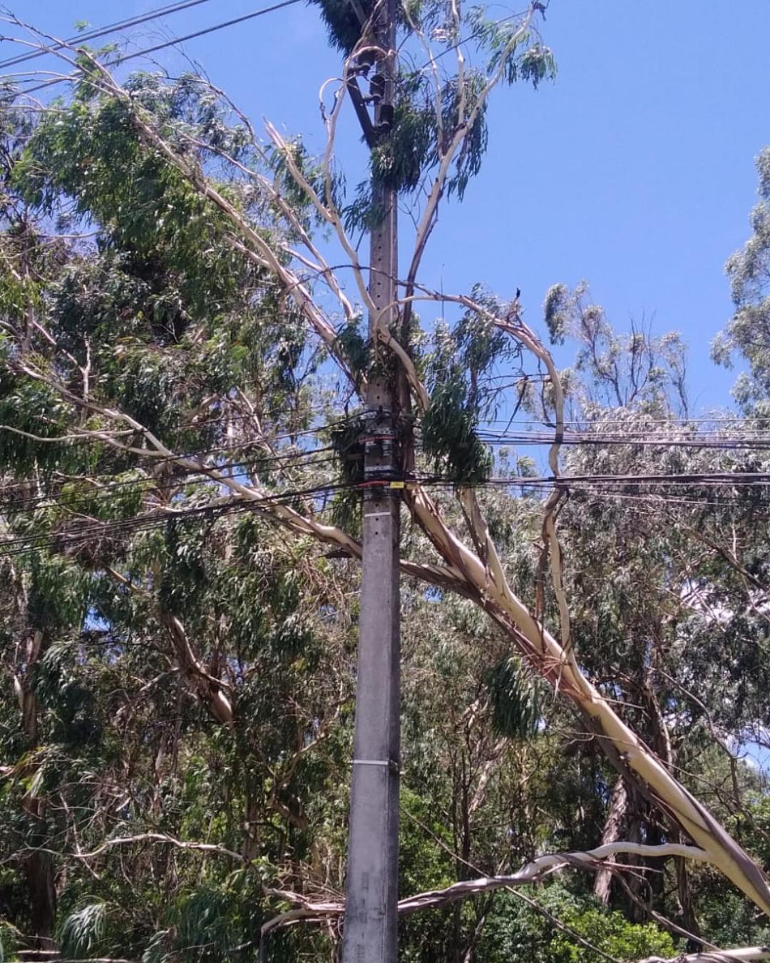Nesta quinta-feira, 70 unidades consumidoras ainda estão sem energia elétrica em Araucária