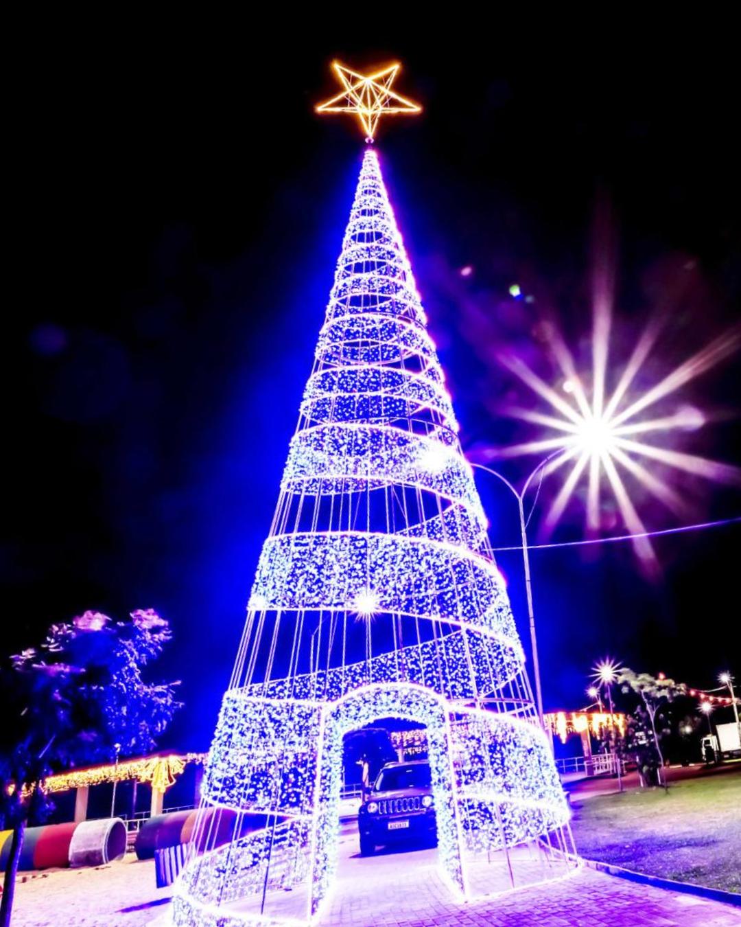 NP: Instalação da decoração de Natal deve estar pronta até semana que vem