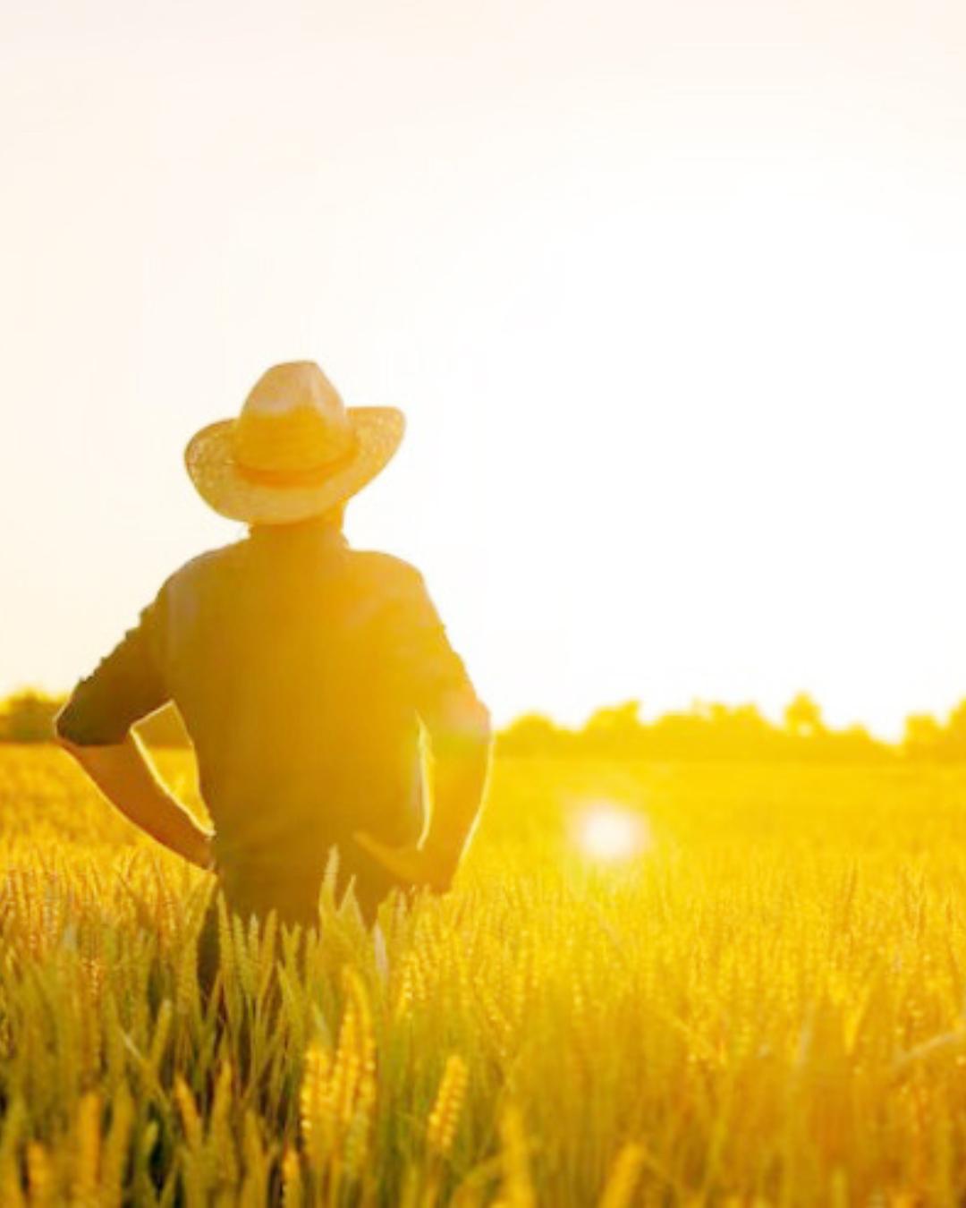 OMS divulga que até 20% dos casos de catarata são causados pela exposição ao sol