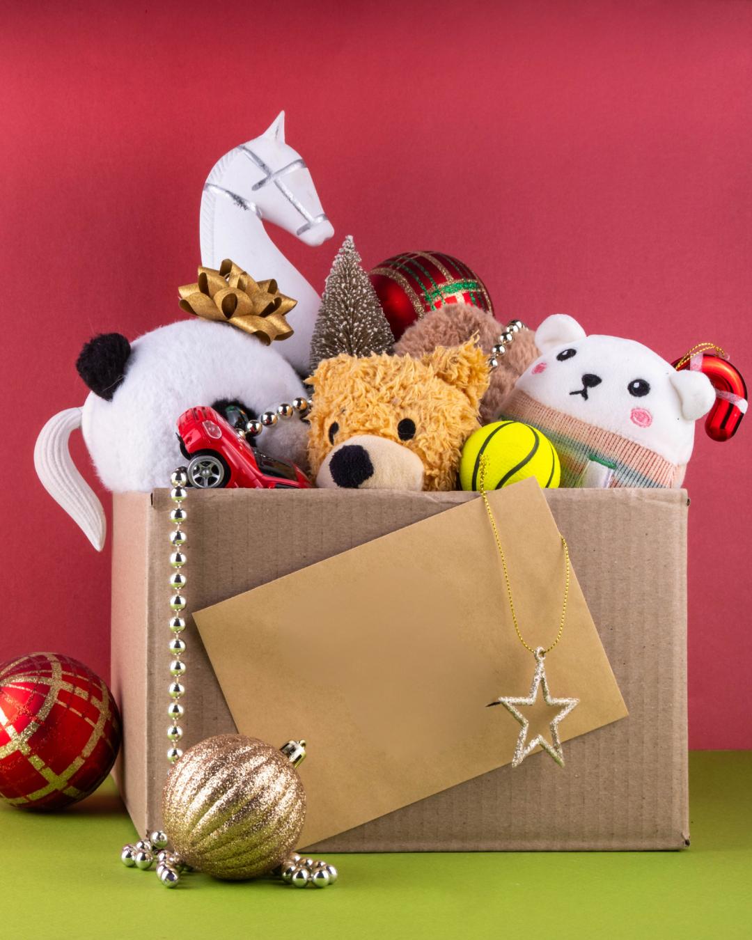 Projeto Amparo realiza campanha de arrecadação para o Natal