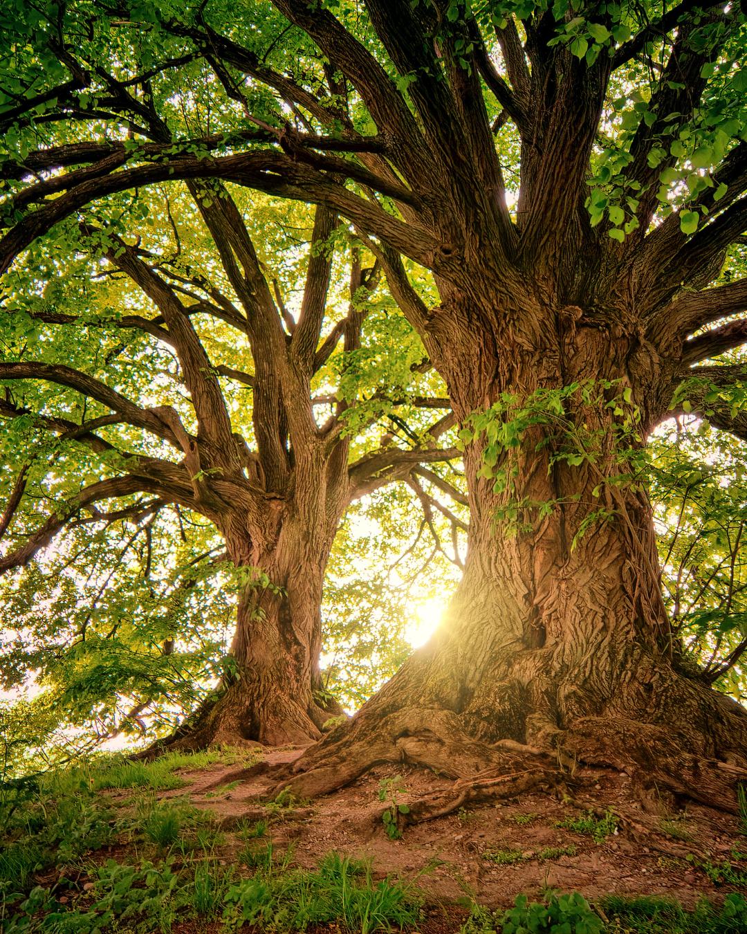 Irmão Lauro: É sobre sermos amorosos, amorosas…