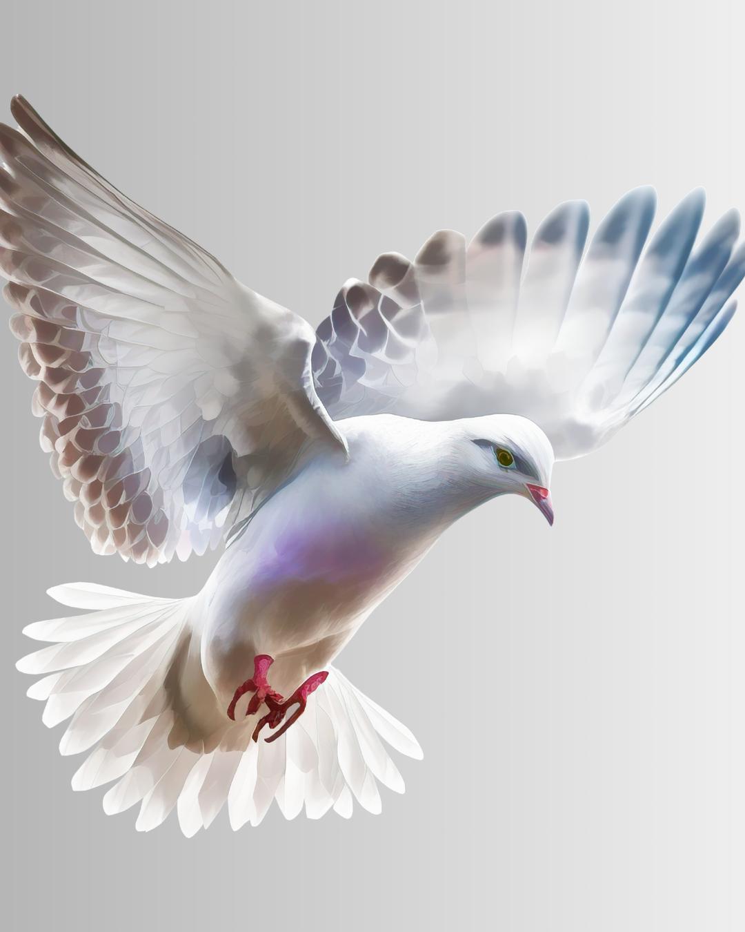 Padre André Marmilicz: O batismo de Jesus e o nosso batismo