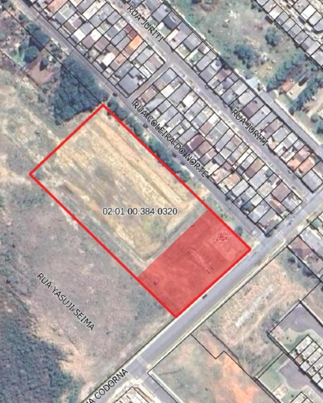 Rascunho automático