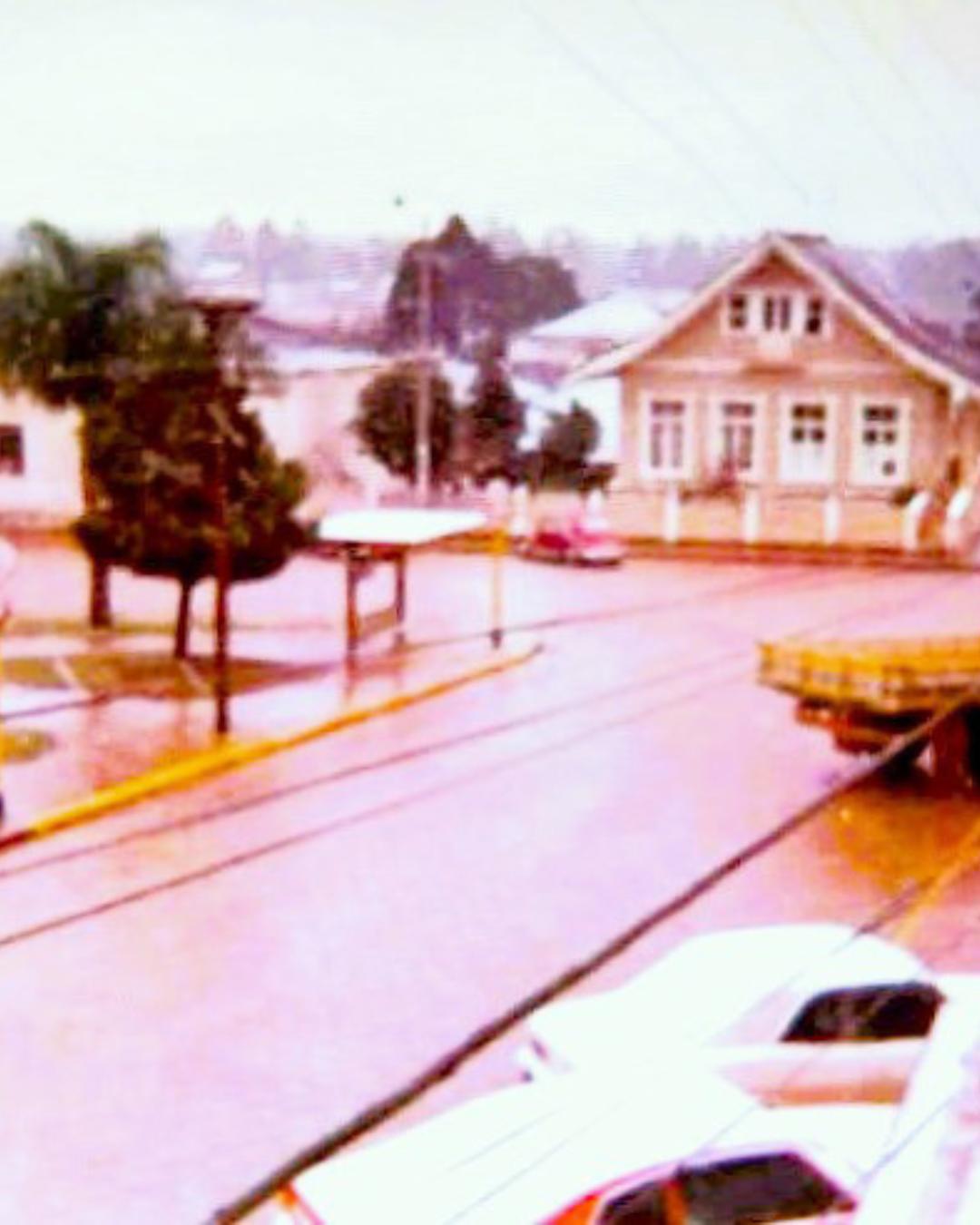 Terezinha Poly: Um Dia de Neve em Araucária
