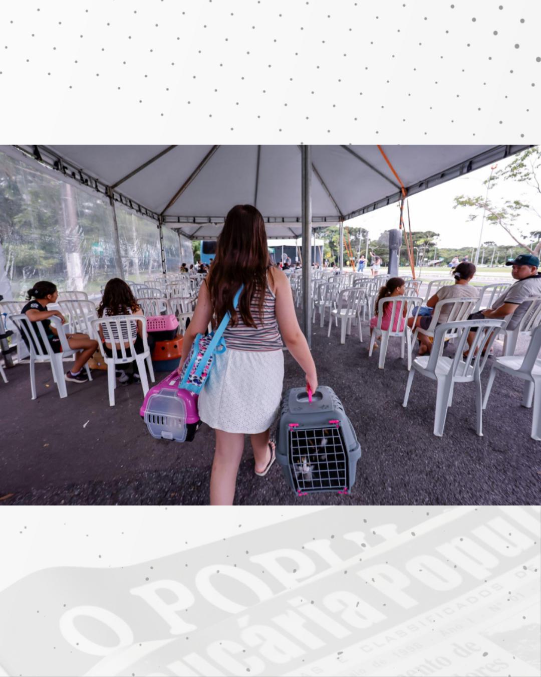 Última campanha de castração de 2025 atende mais de 1,3 mil animais em Araucária