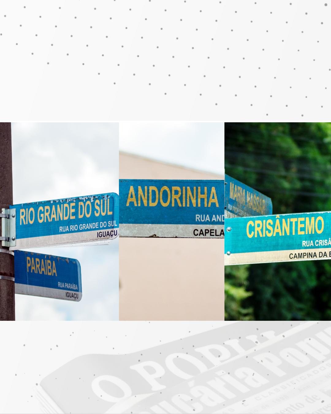 136 anos: Araucária tem muitas ruas com nomes temáticos: saiba onde elas estão