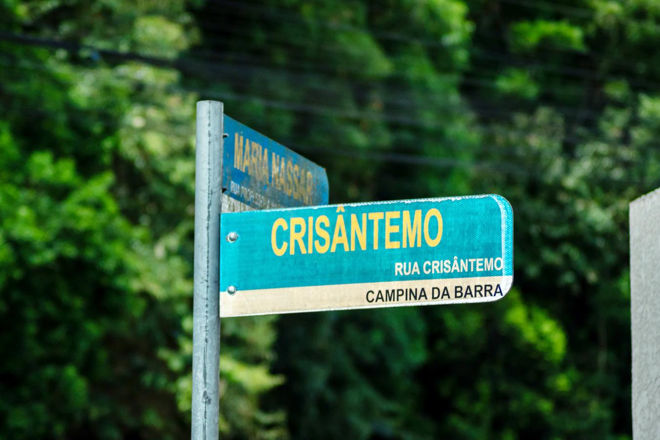 136 anos: Araucária tem muitas ruas com nomes temáticos: saiba onde elas estão