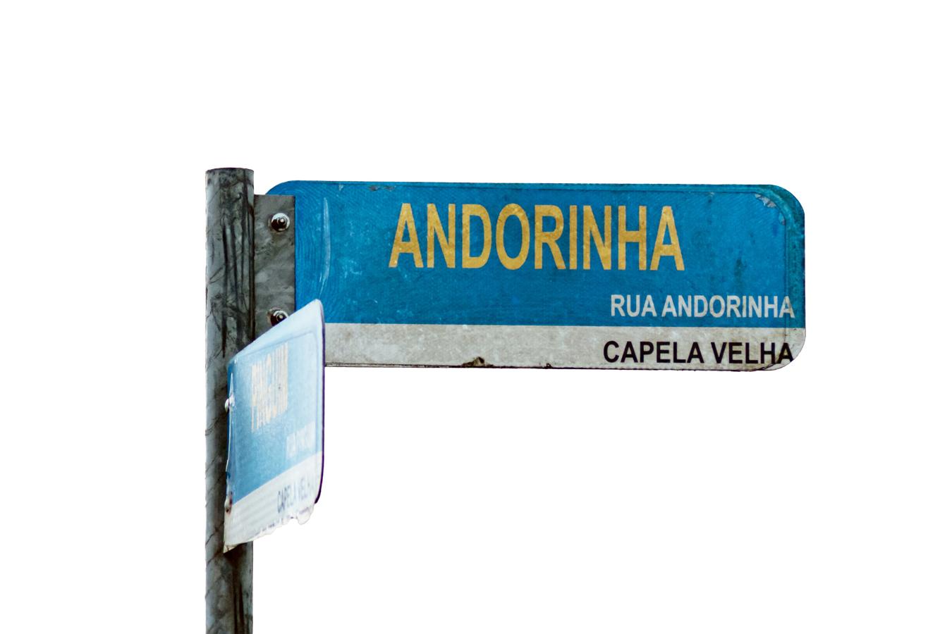 136 anos: Araucária tem muitas ruas com nomes temáticos: saiba onde elas estão