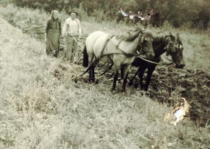 136 anos: Memórias e comemorações: Comunidade polonesa comemora 150 anos da imigração em Araucária