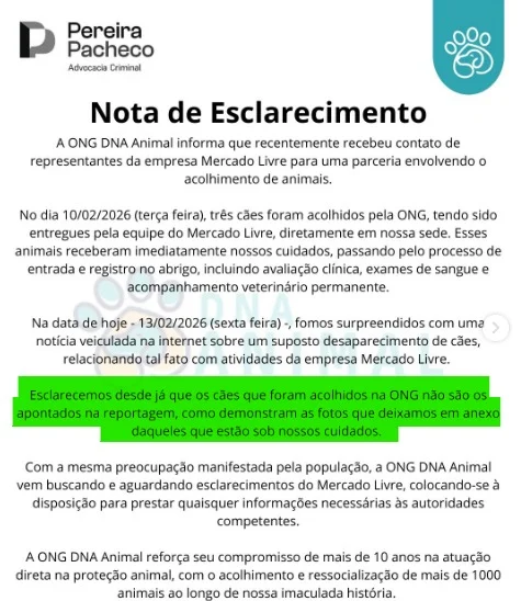 Mercado Livre mentiu ao afirmar que cães comunitários foram entregues a ONG em Fazenda Rio Grande