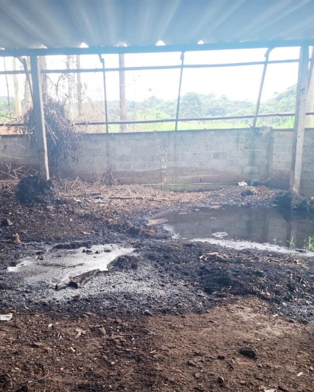 Moradores da Colônia Lagoa Suja denunciam descarte irregular de fezes de animais