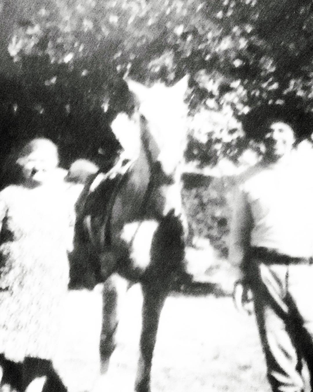Terezinha Poly: O casal Ana e Sebastião Pilatto