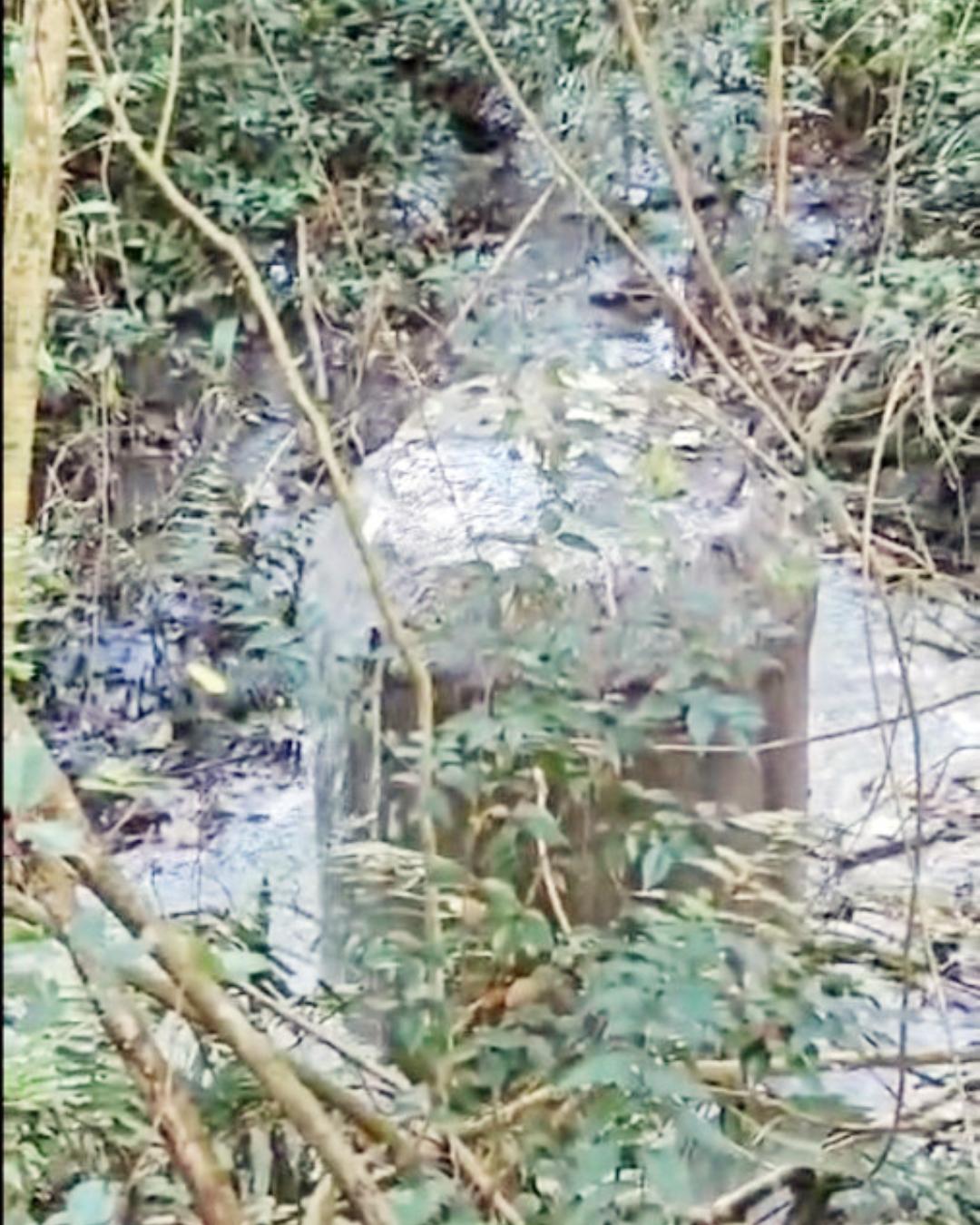 Após reclamação de vereador e moradores, Sanepar resolve problema de esgoto no Vila Nova