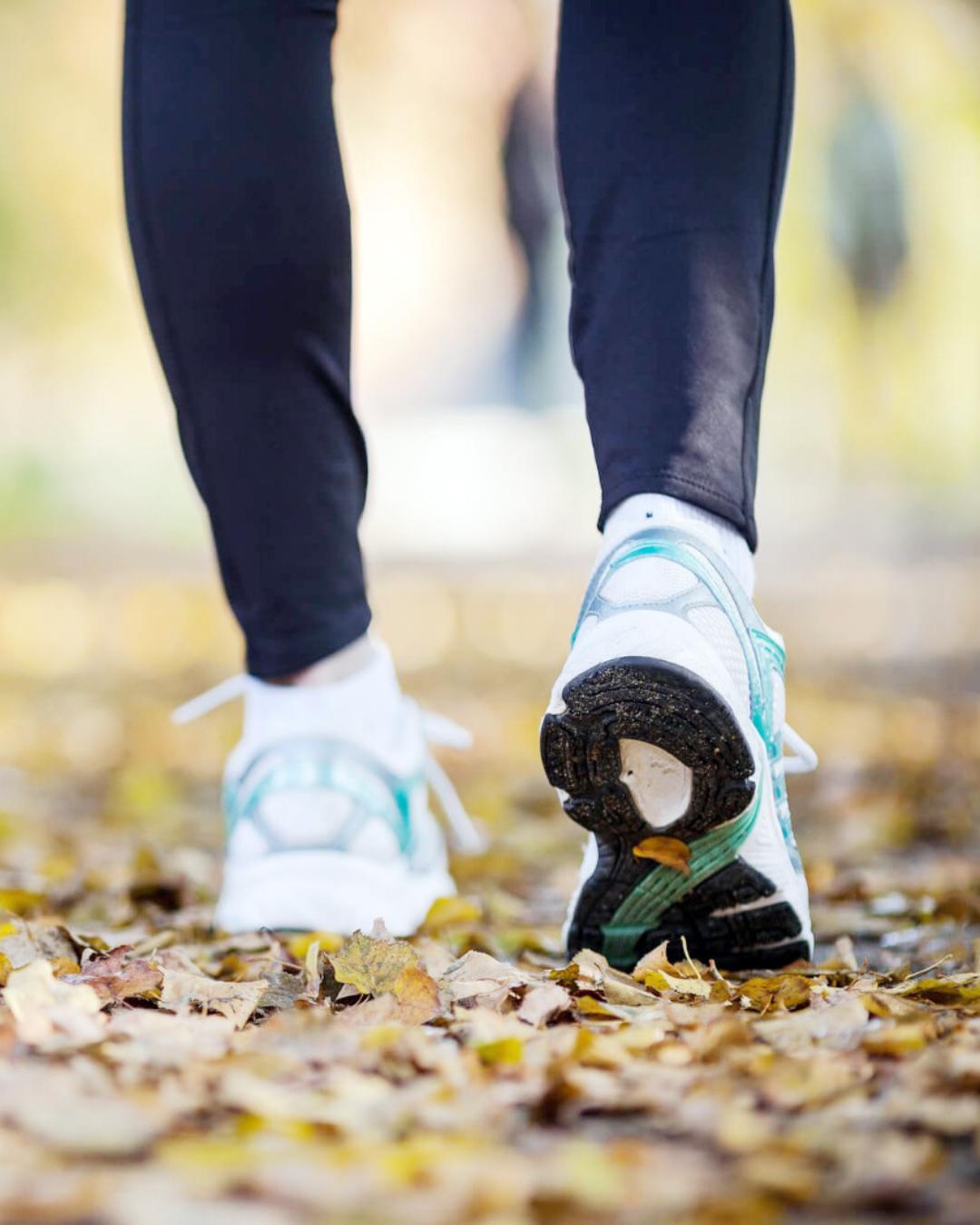 Caminhada da Natureza contará com transporte gratuito até o ponto de concentração