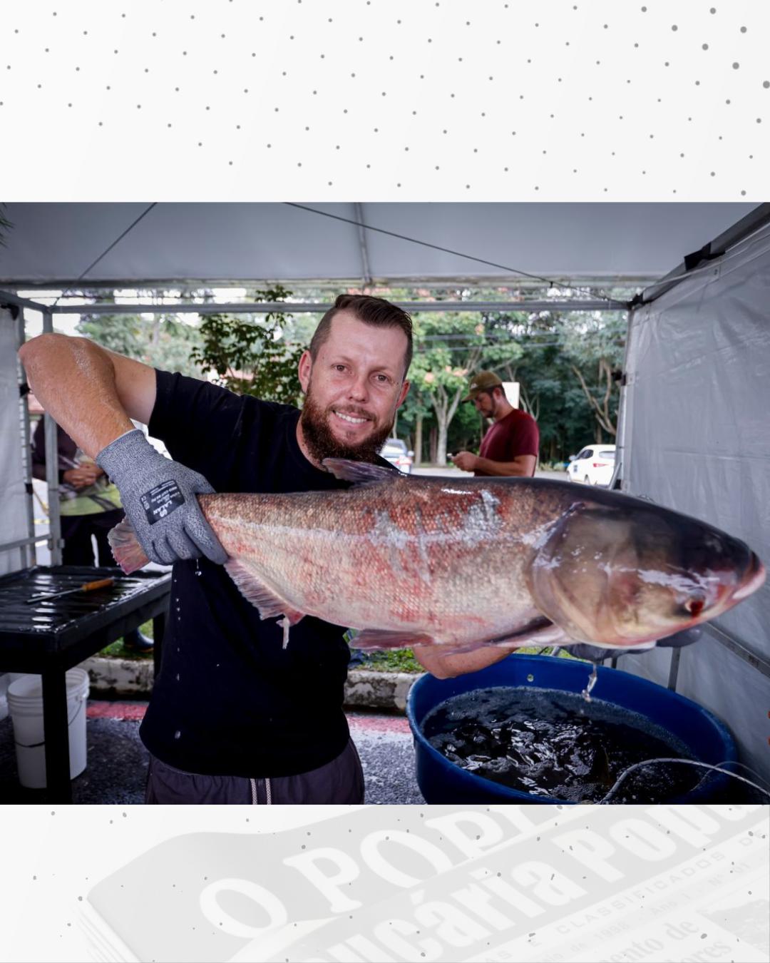 Feira do Peixe 2026 começa nesta quarta-feira (1º). Confira a programação completa