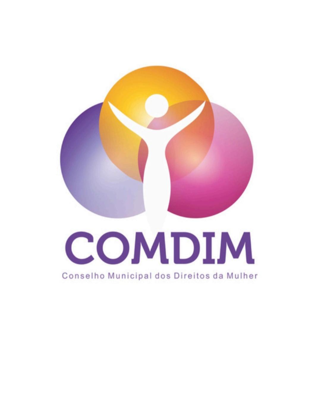 NP: Após caso de violência doméstica envolvendo vereador, Conselho da Mulher publica carta aberta 