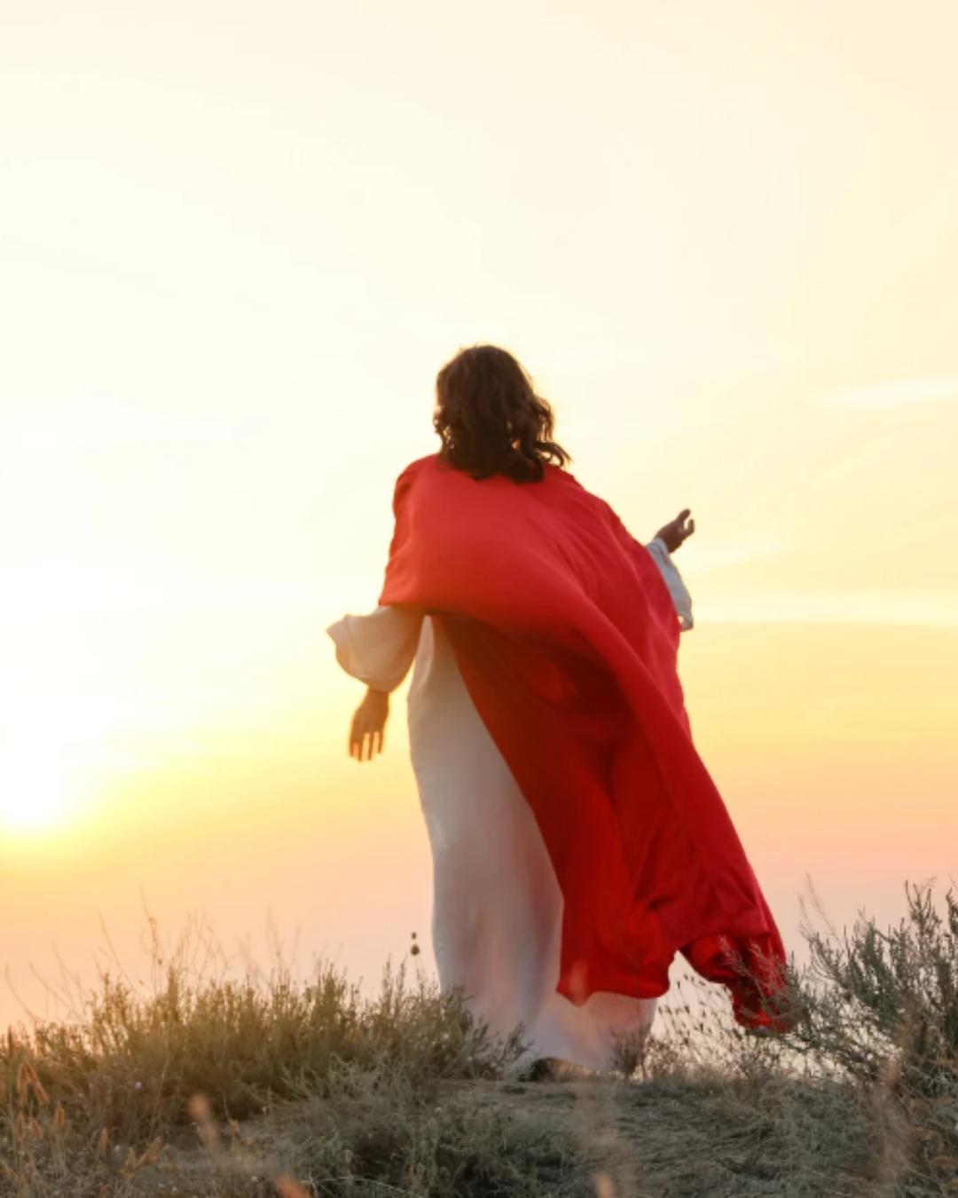 Padre André Marmilicz: Jesus, o Senhor da vida